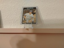 1971 TOPPS HOYT WILHELM (CHICAGO CUBS) #248