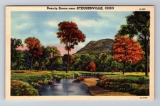 Steubenville OH-Ohio Beauty Scene Vintage Postcard