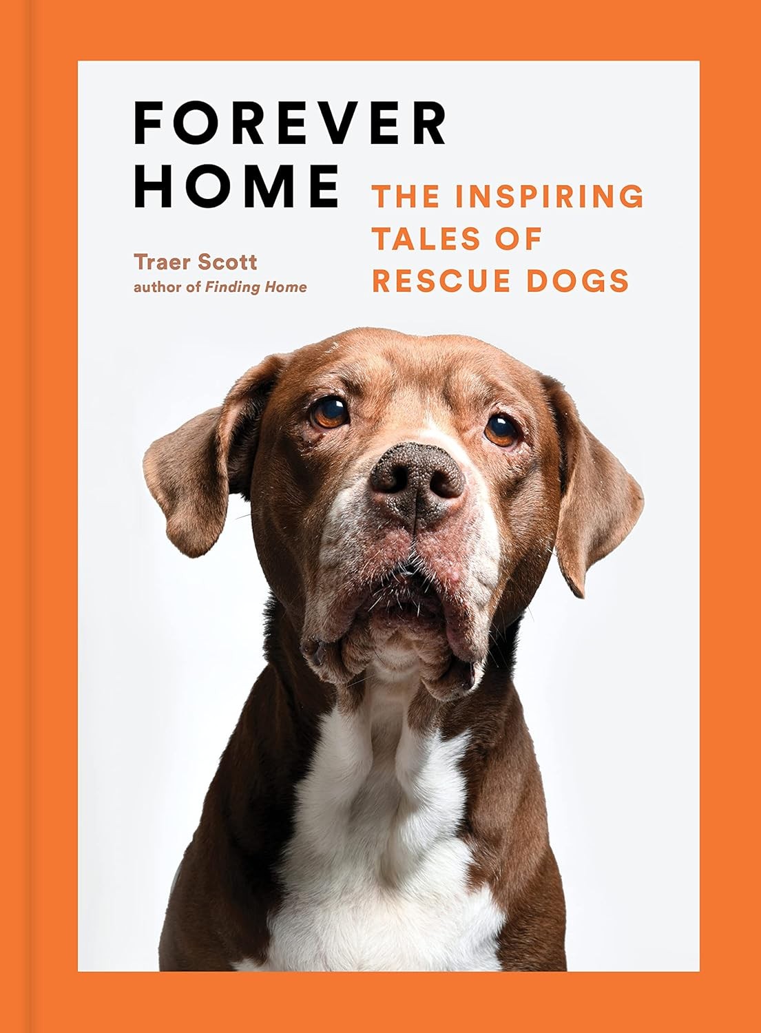 Forever Home: The Inspiring Tales of Rescue Dogs [hardcover] Scott, Traer [May 2