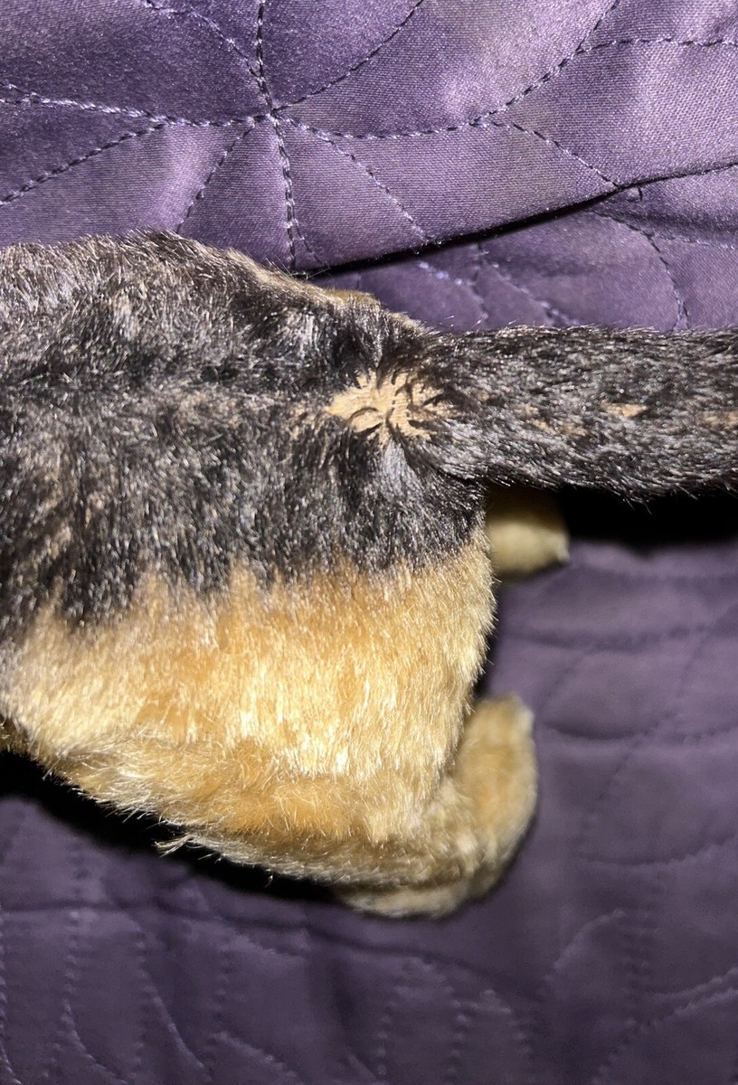 Steiff Tier Terry Airedale Terrier 17 cm 1951-1961 in Bayern - Muhr am See | Kuscheltiere günstig kaufen, gebraucht oder neu