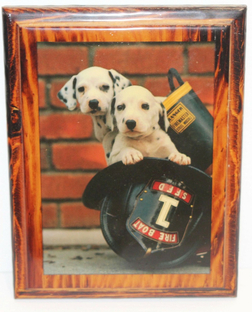 SFFD Fire Boat Dalmation Puppies In Firefighter Helmet Photo
