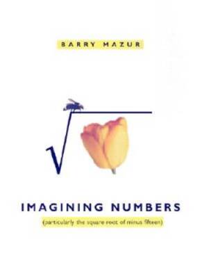 Imagining Numbers: (particularly the square root of minus fifteen) - GOOD