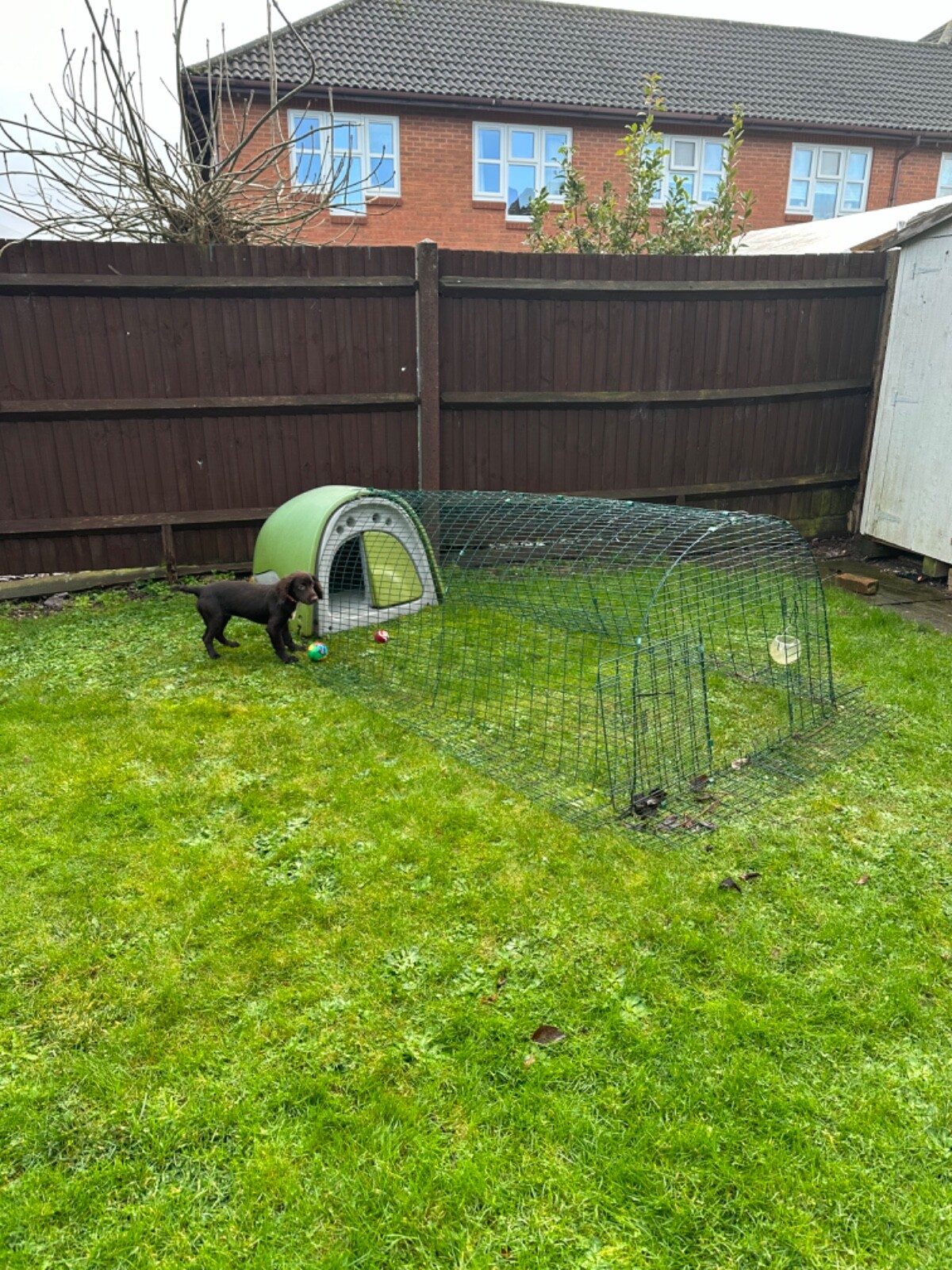 Dismantled omlet eglu coop with 2 meter run. eBay