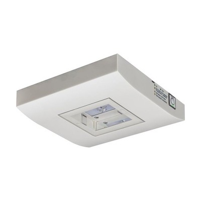 Ceag Notlichtsysteme LED-Einzelbatterie-Leuchte 13812.2 1-8/DCGLine+