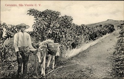Ak São Vicente Cabo Verde Kap Verde, Carreteiro - 4197877