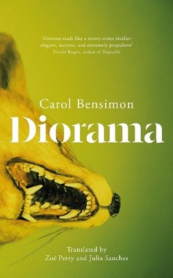 Carol Bensimon Diorama (Hardback) (UK IMPORT)
