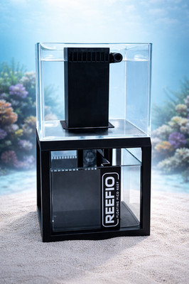 REEFIO Floating Pico Reef 4L Nano Korallen Garnelen Meerwasseraquarium Aquarium