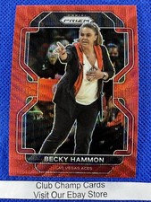 2022 #179 Becky Hammon WNBA Panini Prizm Basketball Ruby Wave Prizm Aces