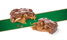 RUSSELL STOVER SUGAR FREE PECAN DELIGHTS CHOCOLATE CANDY BULK VALUE BAG-LIMITED 