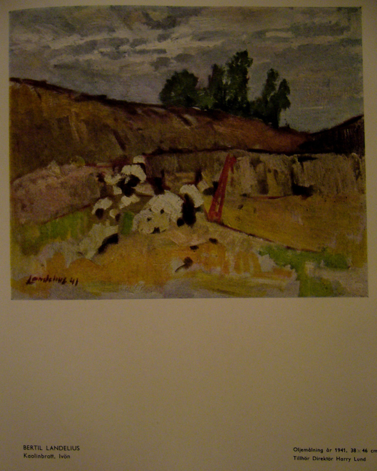 Picture 11 of 12