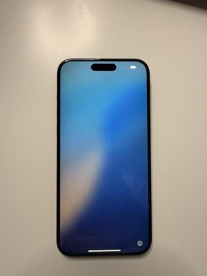 Apple iPhone 15 Pro Max   256 GB   Top Zustand  minimaler Tastenfehler, wie neu