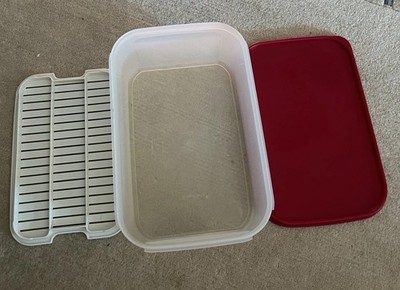 Tupperware Eidgenosse Kompaktus 4,3 L Transparent Rot - Kleiner Superstar