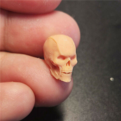 1:18 heroes Skull Man Head Sculpt Carved For 3.75" Male Figure Body Unpainted