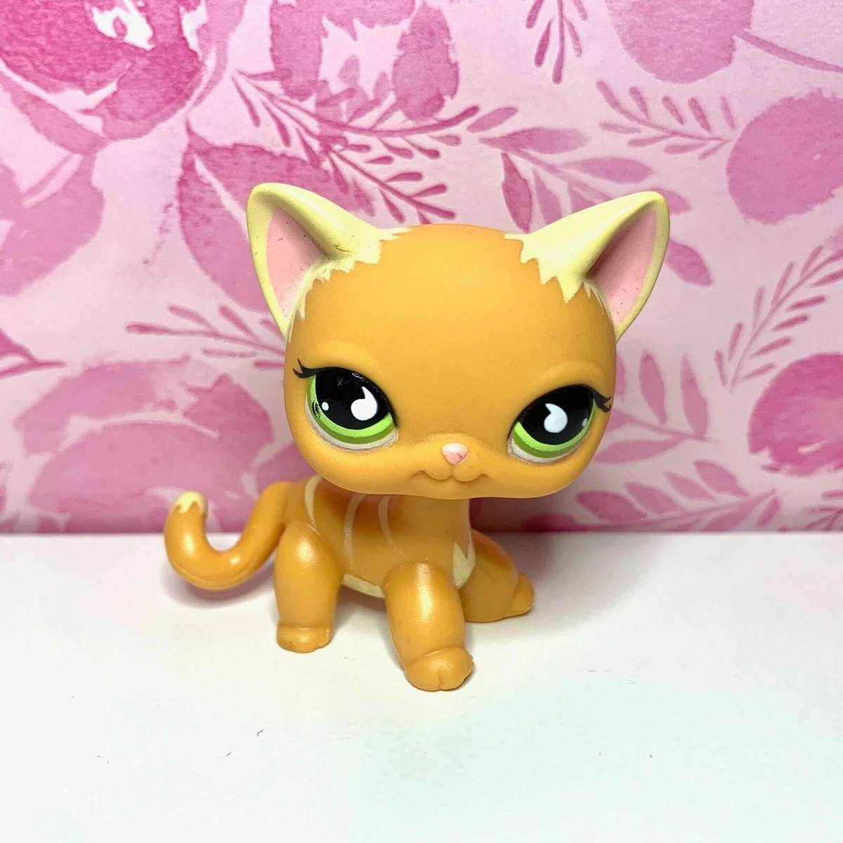 Lps shorthair hot sale 525