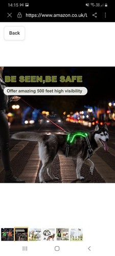 Light Up Hundegeschirr LED LICHT Anti Pull Front Clip Hundegeschirr XLarge - Bild 3 von 8