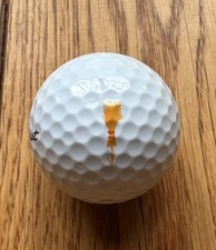 *Rare NEW* Broomsedge Top 100 Titleist Logo Golf Ball SC