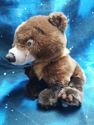 Disney Bärenbrüder Koda Brother Bear Teddy Bär Disneystore Teddy Disneyland