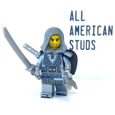 LEGO Castle Master Paladin Knight Minifigure D&D Rogue Earth Crusader 71858