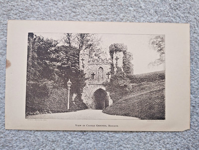 Blick im Schlosspark, Reigate - antiker Druck - 1885