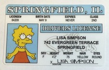 Lisa Simpson - The Simpsons - Drivers License - Novelty