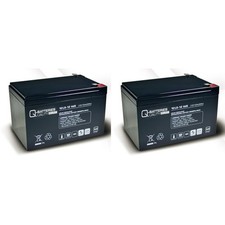 Ersatzakku für APC Smart-UPS SU1000RMI RBC6 RBC 6 USV Batterie mit VdS