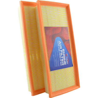 2 PCS Engine Air Filter for Mercedes-Benz Cl550 ClS550 E550 GL450 GL550 GLS550