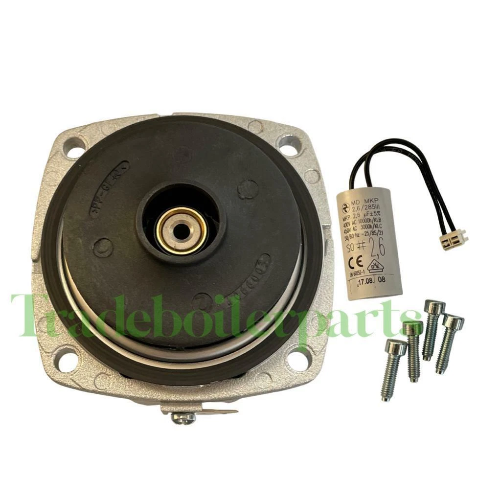 BIASI RIVA COMPACT HE M96A.24SM u0026amp; M96A.28SM M96A.32SM PUMP HEAD  BI1552100 NEW | eBay