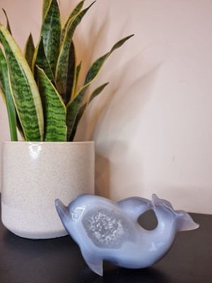 Achat Delfin Geode poliert blau Chalzedon Kristall Ornament mit Druzy Quarz