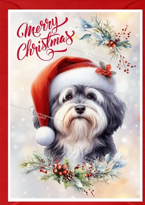 Weihnachtskarte Havaneser Hund (4 Zoll x 6 Zoll) (innen leer) von Starprint