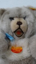 1988 STEIFF MINKY ZOTTY BEAR SQUEEKER ACRYLIC/ COTTON 0312/30 30CM 12" GIFY BOX