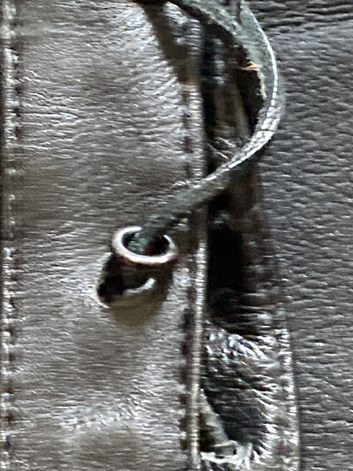 Picture 12 of 15
