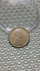 1909 VDB Lincoln Wheat Cent Penny Original F Fine                           D123