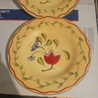 2 Pfaltzgraff Napoli Hand-painted 9" Salad lunch luncheon plates flower dessert — photo 2