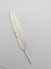 Penna : Spilla da giacca in Argento 925 - Piuma - Scrittore - Scrittura Calamaio