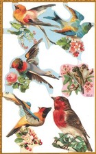 BIRDS Die Cut Paper Scrap Book Mamelok Press Ltd. Edmunds, England