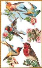 BIRDS  Die Cut Paper Scrap Book Mamelok Press Ltd. Edmunds, England