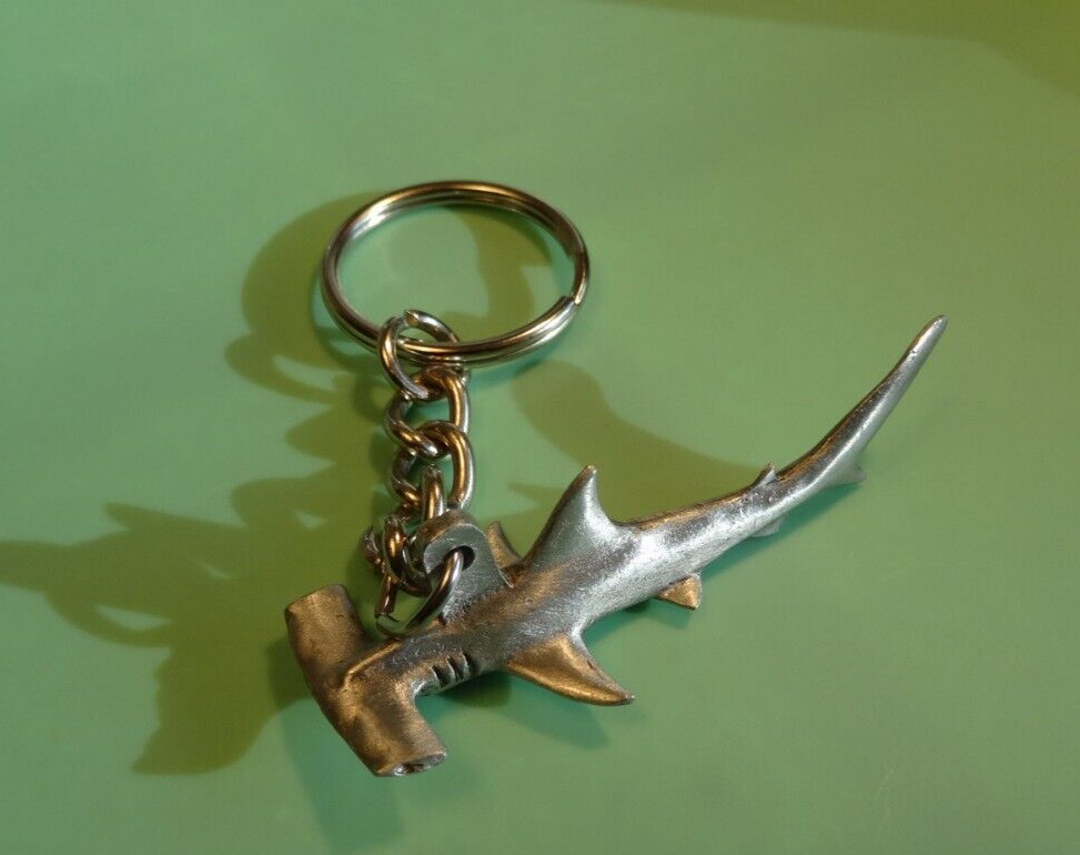 Hammerhead Shark Teeth for Sale Shark Teeth Store