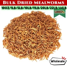 Wholesale Bulk Dried Mealworms for Wild Birds Food Blue Bird Chickens Hen Treats