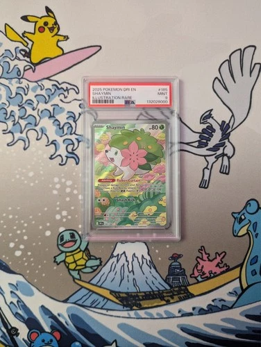 2025 POKEMON DRI EN-DESTINED RIVALS ILLUSTRATION RARE #185 SHAYMIN PSA 9