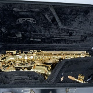 Sassofono contralto Yamaha personalizzato YAS 875EX con custodia dal Giappone LEGGI