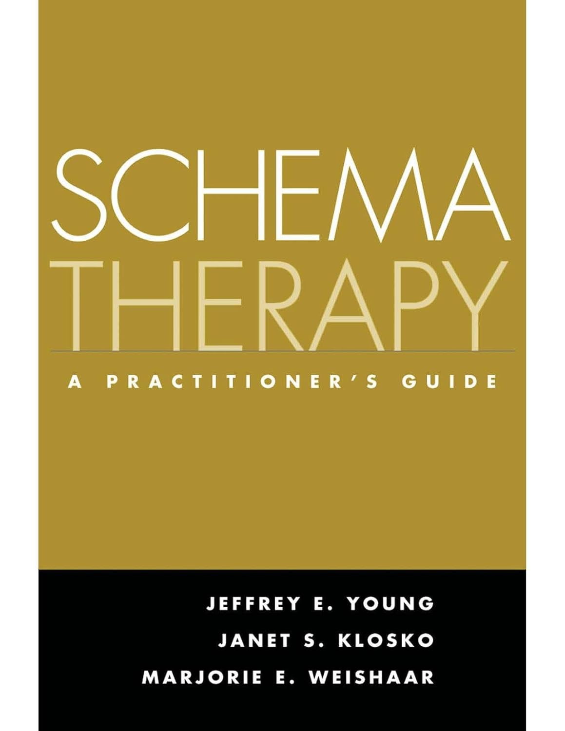 Schema Therapy: A Practitioner's Guide by Jeffrey E. Young 9781593853723 NEW - Image 8