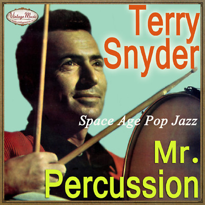 TERRY SNYDER CD Vintage Dance Orchestra Space Age Pop Jazz , Puttin On The Ritz