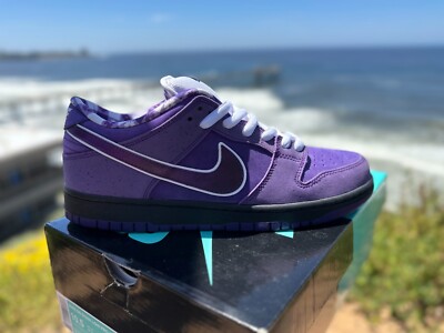 Nike SB Dunk Low x Concepts 