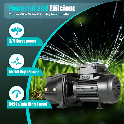 3/4HP Well Jet Pump Self-Priming Shallow Water Pump with Pressure Switch 110V