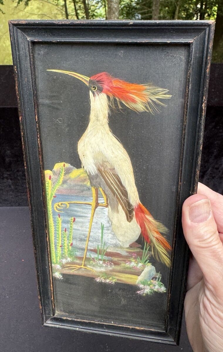 1930's Gorgeous Hand Painted Real Feather Art Craft Bird