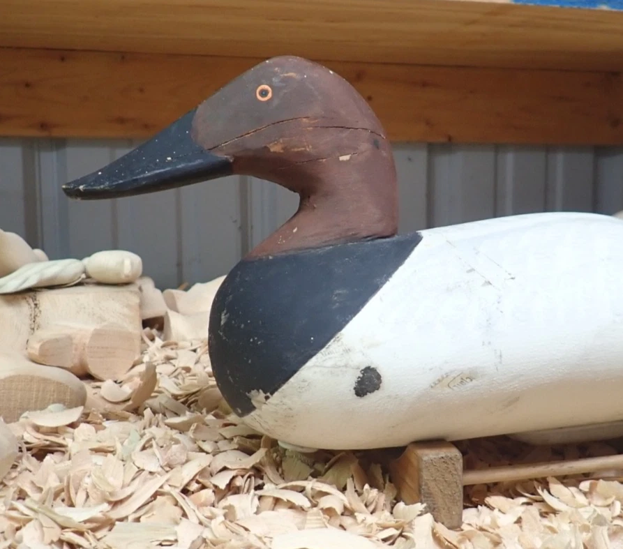 Mitchell Canvasback Vintage Hunting Duck Decoys for sale | eBay