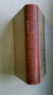 107087 Adrianus Michael de Jong HERZ IN DER BRANDUNG Roman einer Kindheit HC