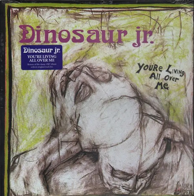 Dinosaur JR. Youre Living All Over Me NEAR MINT Jagjaguwar Vinyl LP