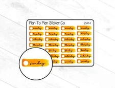 2541-4~~Orange Watercolor Date Cover  Planner Stickers.