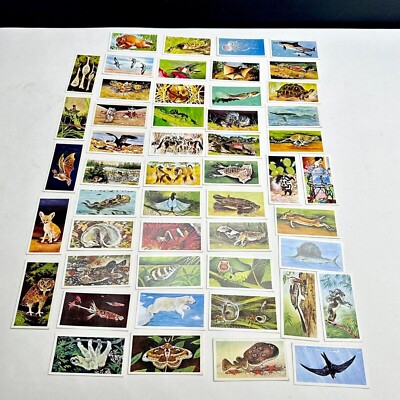 Complete Set of 50 Vintage Brooke Bond Tea Cards. Wonders of Wildlife